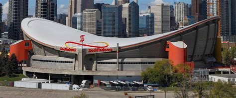 Calgary Flames - Stadium Dude