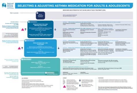 Selecting & Adjusting Asthma Medication for Adults & Adolescents ...