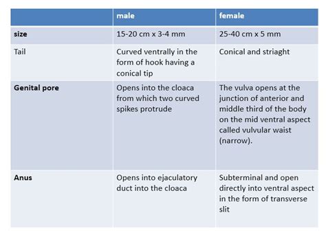 Ascaris: Introduction, Morphology, life cycle, mode of infection, Pathogen