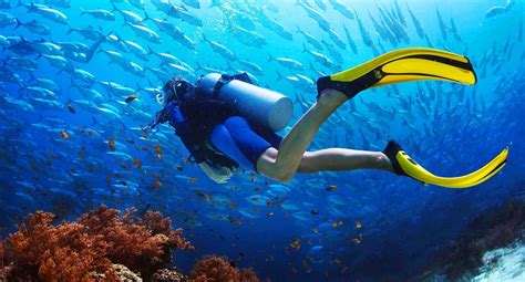 Scuba Diving Fethiye Tour – Haqqi Tours