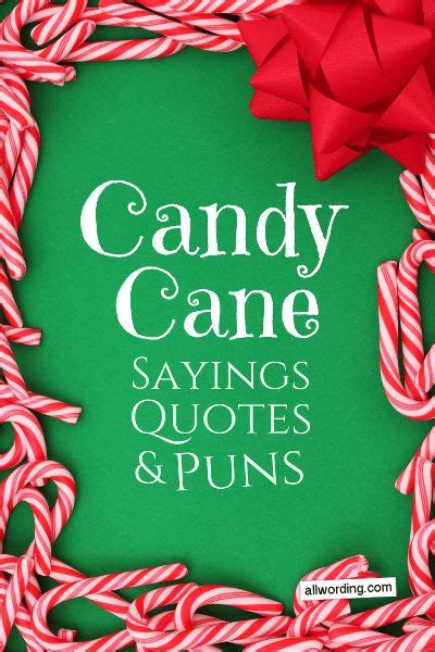 candy cane sayings quotes and puns on green background with red bow in ...