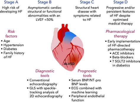 Congestive Heart Failure Stages