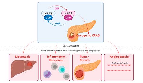 IJMS | Free Full-Text | Highlights on the Role of KRAS Mutations in ...