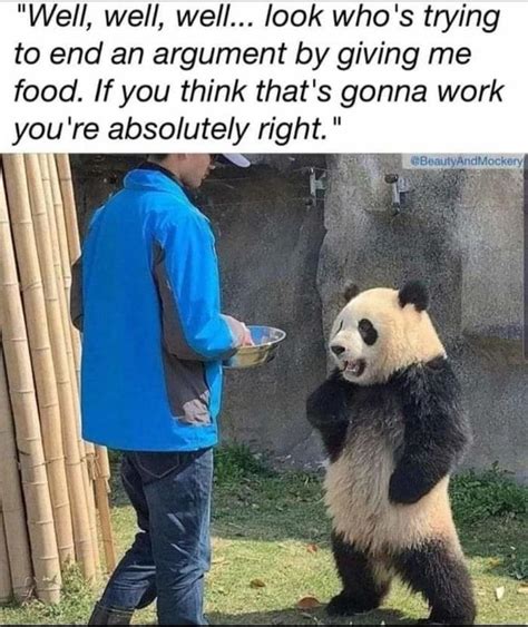 Give me more!!!! | /r/wholesomememes | Pandas | Know Your Meme