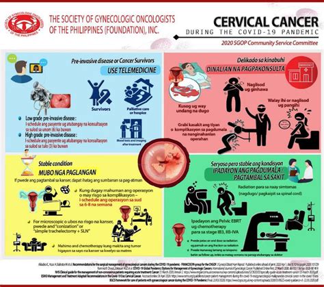 COVID-19 Infographics – Bisaya – Society of Gynecologic Oncologists of ...