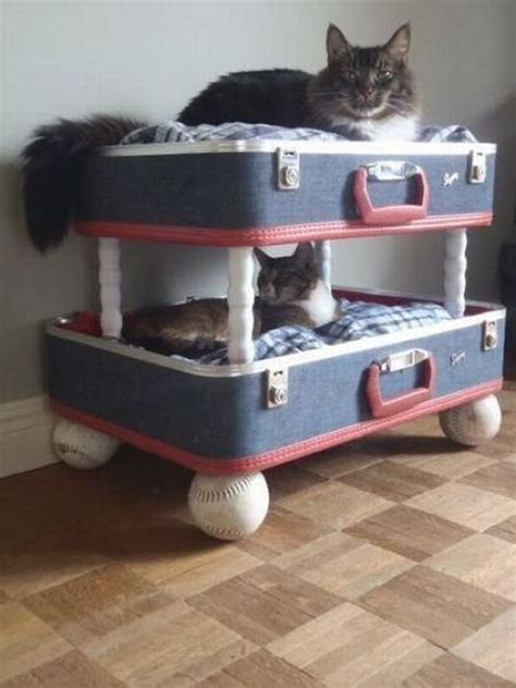 Cat Bunk Beds – 1Funny.com