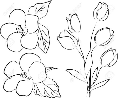 Simple Flower Line Drawing at GetDrawings | Free download