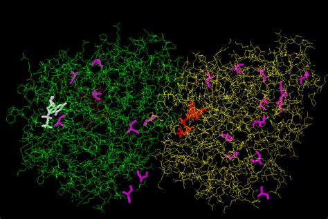 Tubulin structure