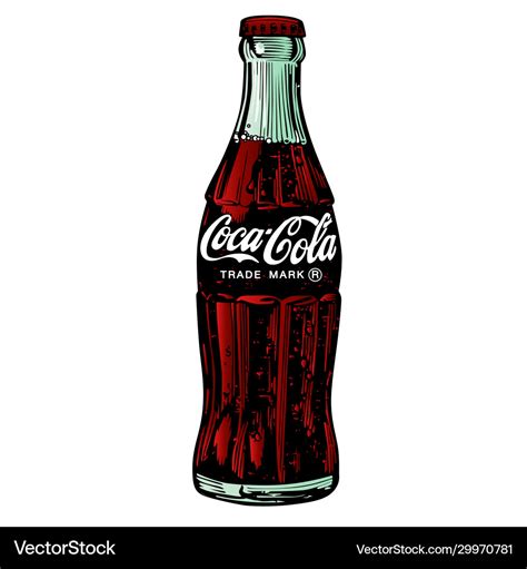 Drawing classic bottle coca-cola on white Vector Image