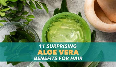 11 Surprising Aloe Vera Benefits for Hair | Vitsupp