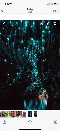 Te Anau Glowworm Caves - 2020 All You Need to Know BEFORE You Go (with ...