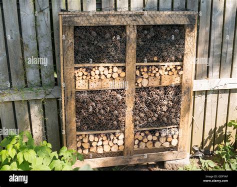 Insect or bug hotel on an allotment garden, made from recycled Stock ...