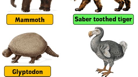 Extinct Species With Names