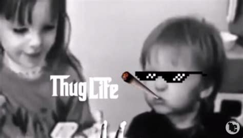 Thug Life Glasses Meme Info With 9 Hilarious Examples