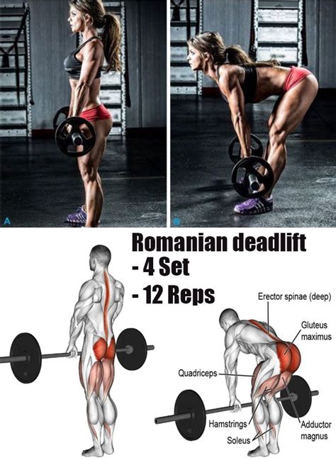 Romanian deadlift | Bodybuilding training, Workout, Fitness body