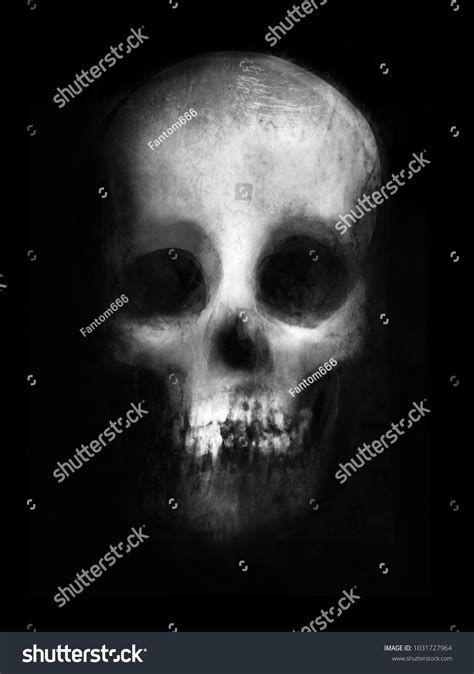 Scary Skull Isolated On Black Background Stock Illustration 1031727964 ...