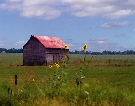 Kansas Landscape by Steve Karol