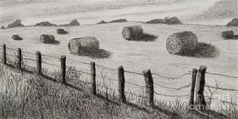 Kansas Hay Field Drawing by Garry McMichael