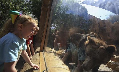 Little Rock Zoo set to reopen at end of month | Northwest Arkansas ...