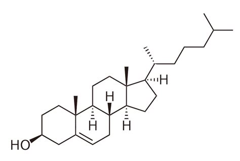 Measuring cholesterol levels in blood - Know your LDL, HDL and ...