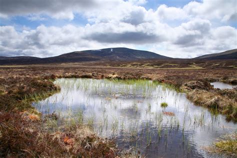 Blanket Bogs - Scotlink