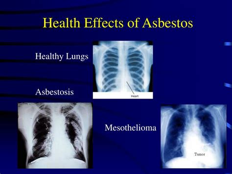 PPT - Dealing with Asbestos during the Remodeling Process PowerPoint ...