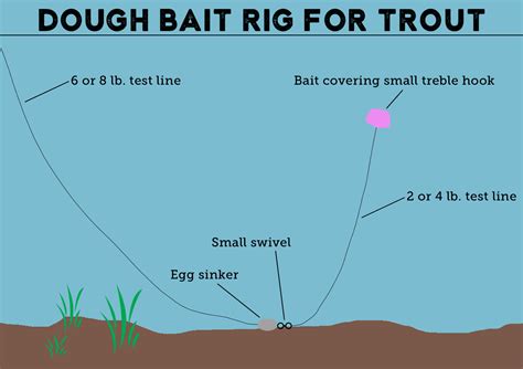 Trout Fishing in the Parks | Arizona State Parks