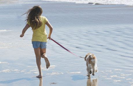 Pet Friendly Vacation Rentals – Pet Friendly Beach Rentals in Emerald ...