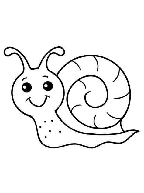 Snail coloring pages