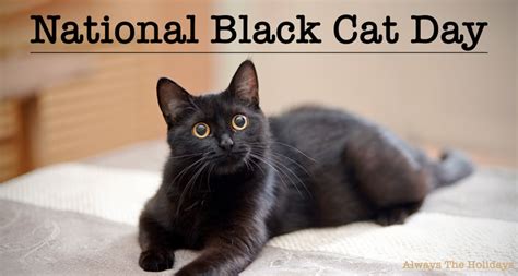 National Black Cat Day - Fun Facts and Ways to Celebrate these Felines