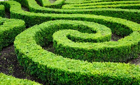 48 "Mind-Boggling" Hedge Maze & Garden Labyrinth Designs (Pictures)