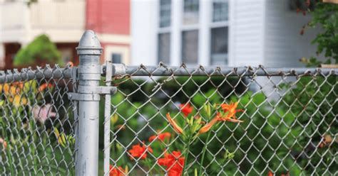 Benefits of Installing a Metal Fence