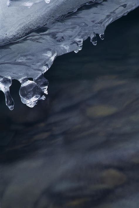 Ice Drop Photograph by Walter Murdock - Fine Art America