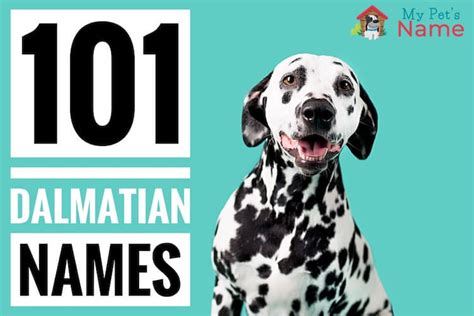 101 Dalmatian Names: A-to-Z of Every Dog Name From 101 Dalmatians | My ...