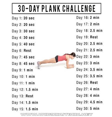 30 Day Plank Challenge Before And After Pictures