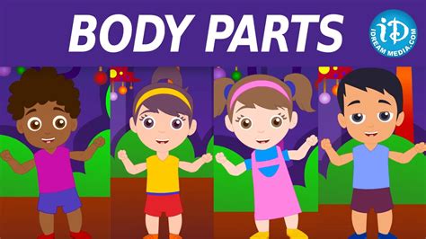 Body Parts Song For Kids || Nursery Rhymes || Body Parts Rhyme || Kids ...