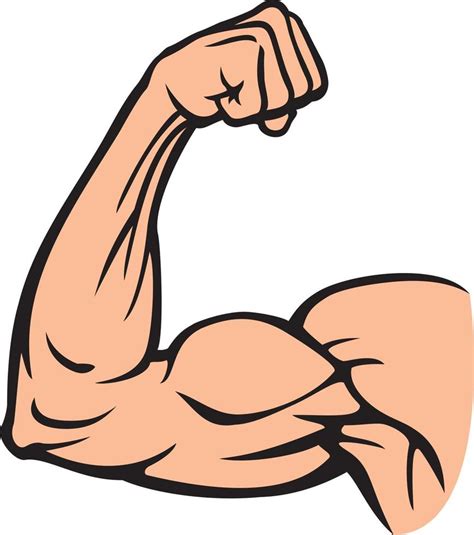 Biceps muscle flexing - arm showing power, bodybuilder, fitness design ...