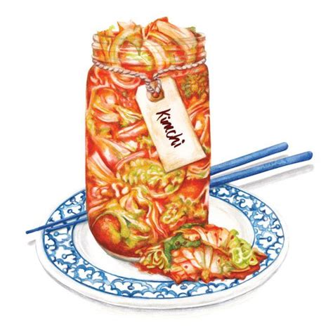 food-illustration-kimchi-probiotic-gut-health food-illustration-kimchi ...