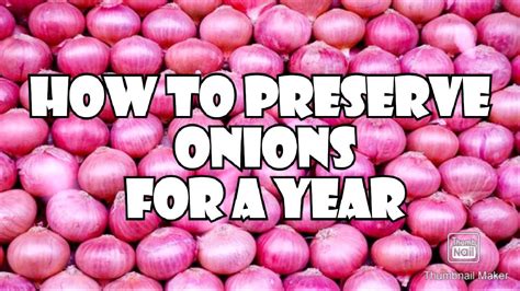 What Is The Best Way To Store Onions : Check spelling or type a new ...