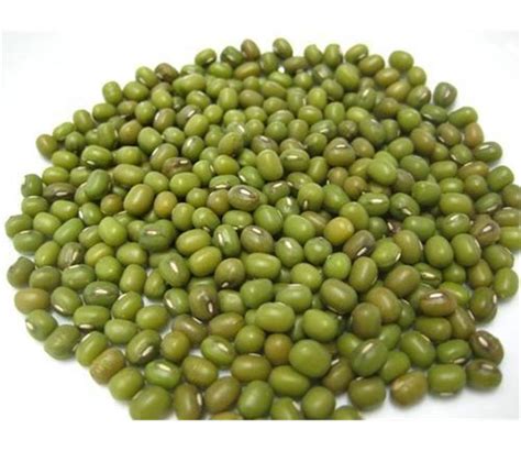 fresh high quality myanmar green mung bean good quality,South Africa ...