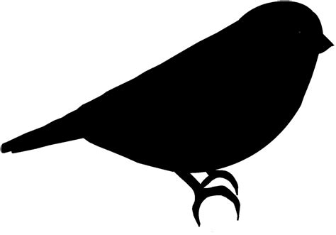 Bird Outline - ClipArt Best