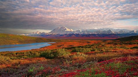 Amazing Denali National Park wallpaper | 1920x1080 | #26649