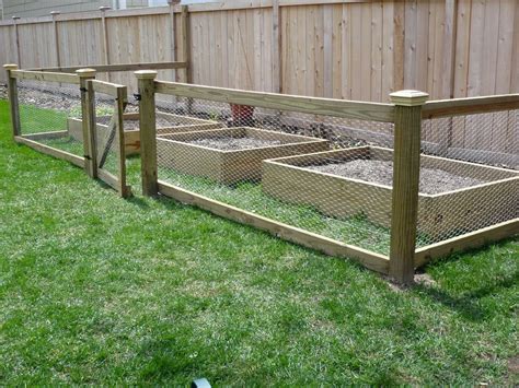 20 things to know about Vegetable garden fence chicken wire - house ...