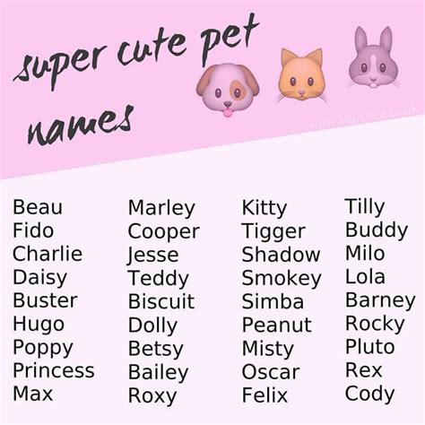 +22 Cute Dog And Cat Names Ideas | PeepsBurgh.Com