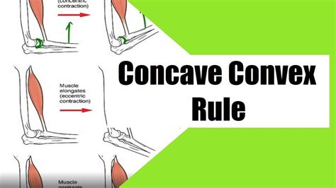 The Convex Concave Rule In Under Min, 53% OFF