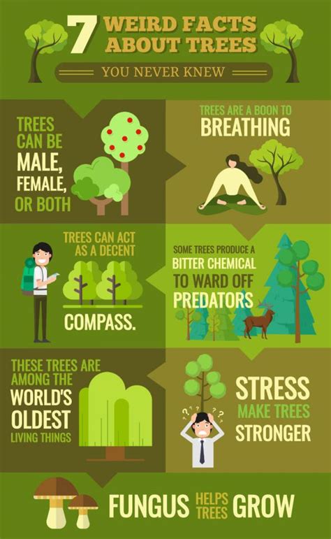 Environment Infographic Template