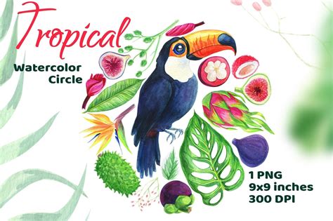 Tropical Fruit Clipart Food Clip Art Tropical Birds Watercolor - Etsy