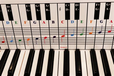 Buy Piano and Keyboard Note Chart, Use Behind the Keys, Ideal Visual ...