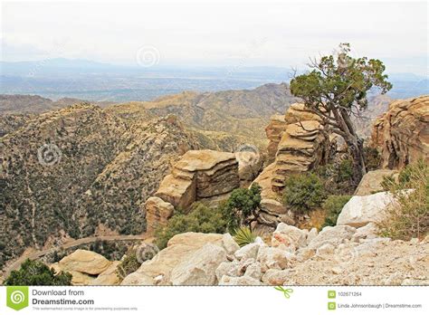 View Towards Tucson from Windy Point Vista Stock Photo - Image of ...