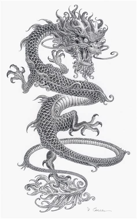 Pin by Richard Blair on Dragons | Asian dragon tattoo, Chinese dragon ...